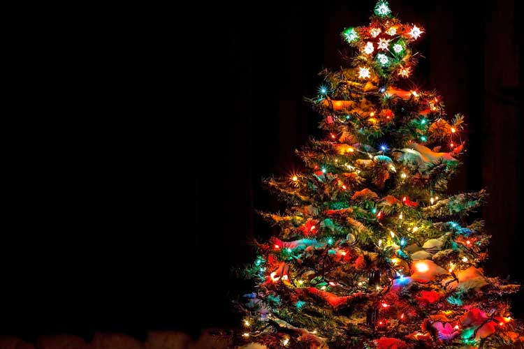 rockefeller center christmas tree lighting hotel on cost of rockefeller center christmas tree